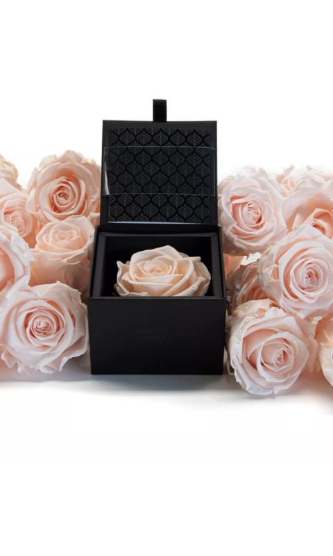 Wieczna róża w pudełku- FLOWERBOX PREMIUM RÓŻ