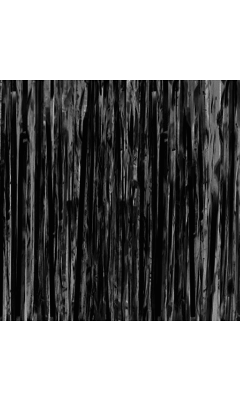 Kurtyna imprezowa czarna, 100x200 cm