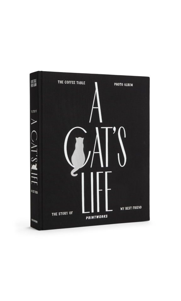 Fotoalbum A Cats Life Fotoalbum A Cats Life