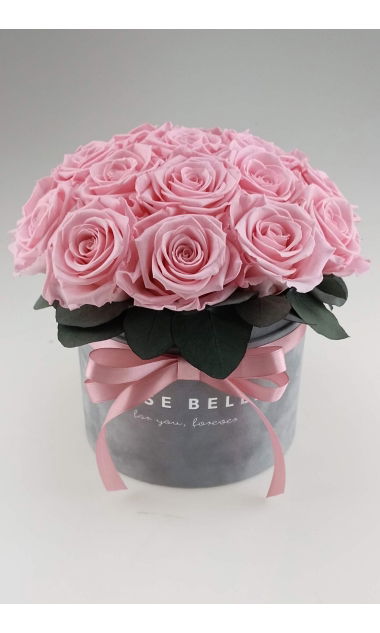 Rose Belle Box Splendid M różowy