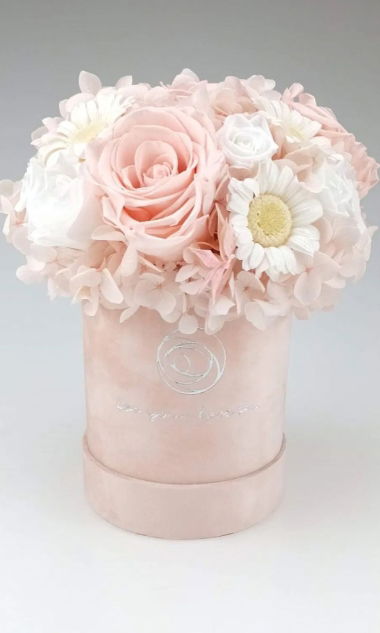 Rose Belle Box S brzoskwiniowy DeLuxe