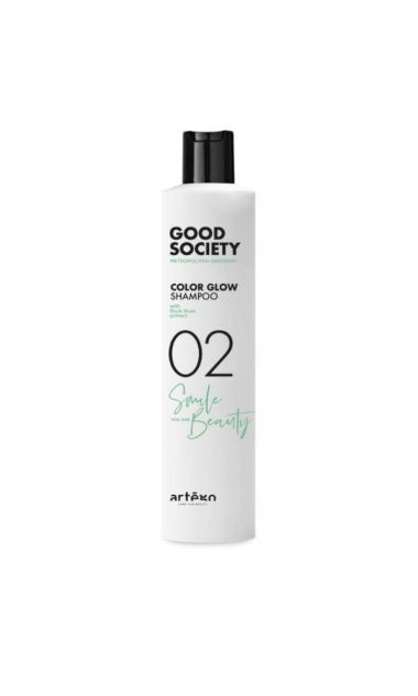 ARTEGO GOOD 02 SZAMPON DO WŁOSÓW FARBOWANYCH 250ml