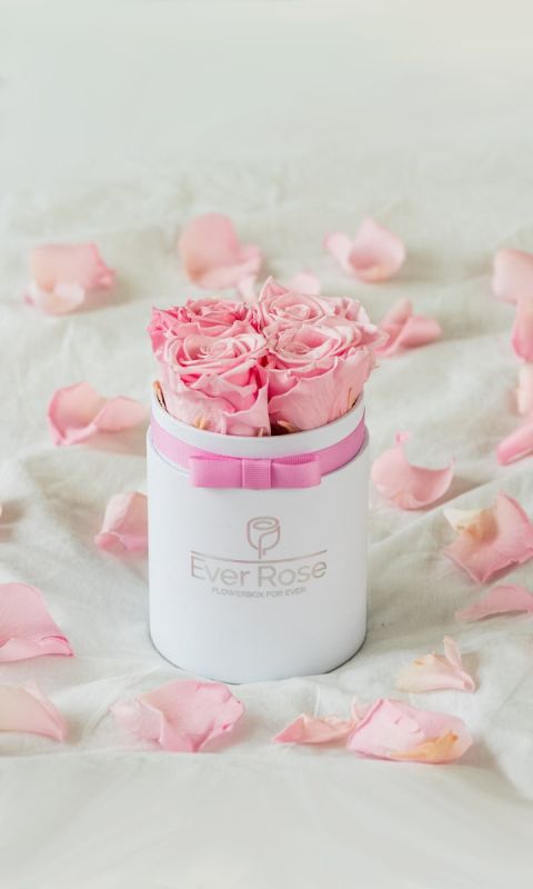 FlowerBox RÓŻOWE wieczne róże BIAŁY KLASYK S