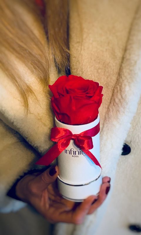 Czerwona wieczna róża biały mini flower box